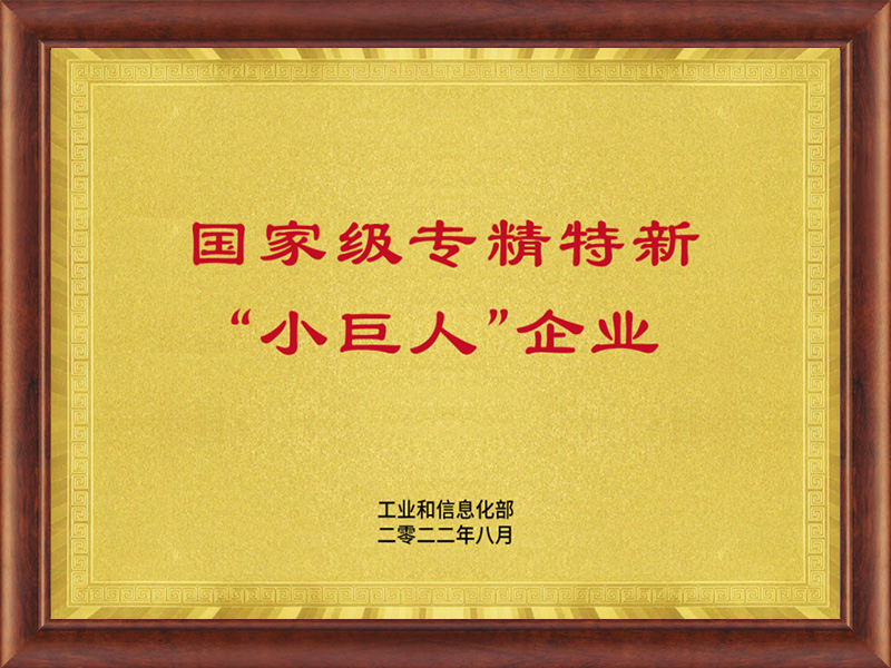國家專精特新“小巨人”企業